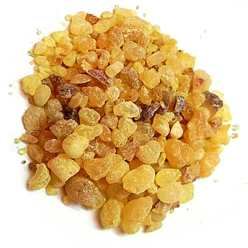 A pile of golden frankincense resin tears